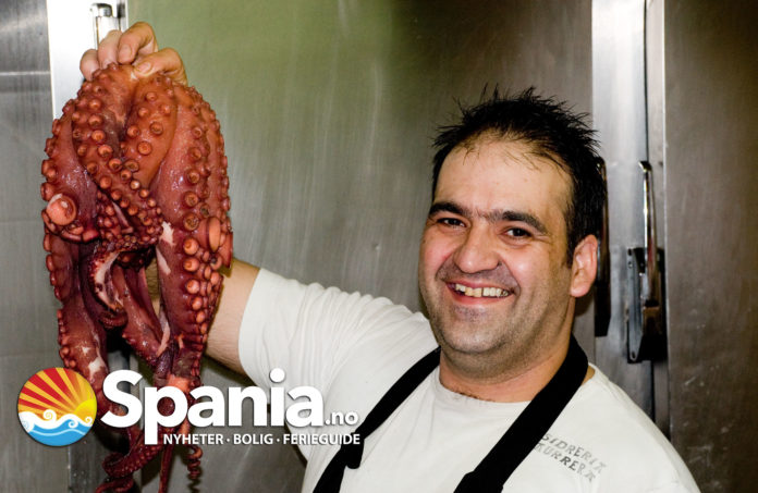 pulpo-tapas-benidorm-DSC_6781