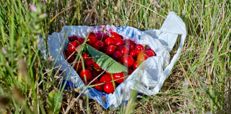 Moreller og sommer i Spania