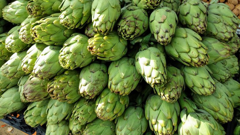 Artisjokk – Et «forbudt» afrodisiakum