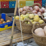 eco-altea-spania_DSC_0743