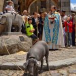 san-anton-dyrenes-skytshelgen