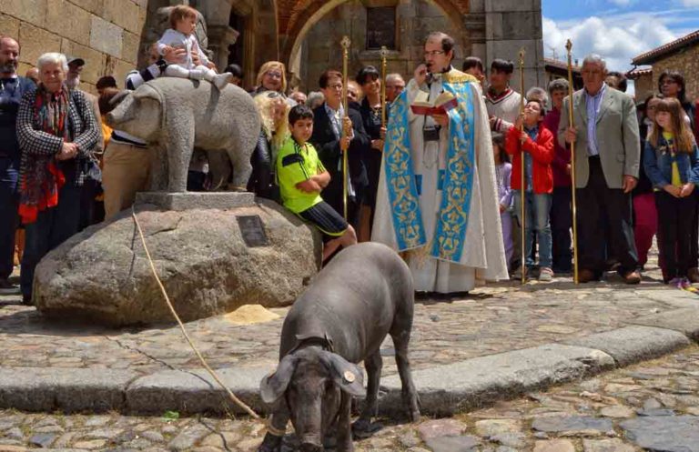 Fiesta de San Antón Abad –  Dyrenes skytshelgen
