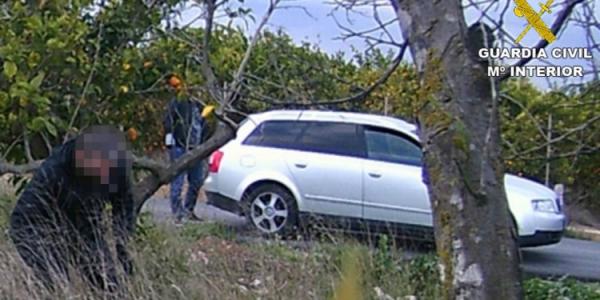 Foto: Tre av de pågrepne holdt til i Torrevieja, Los Montesinos og Orihuela Costa. Tyvene skal ha spesialisert seg på innbrudd, der de brukte biler med falske nummerskilt for ikke å bli tatt av politiet.