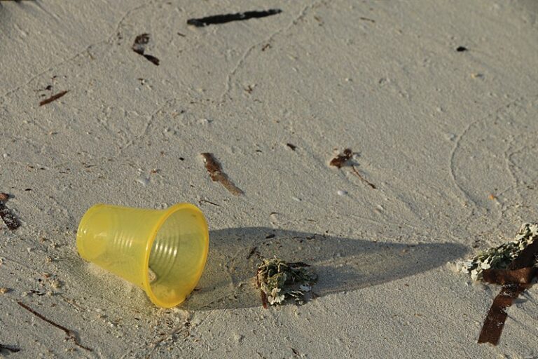 «Ikke ta med plast på stranden»