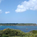 800px-Illa_d’en_Colom