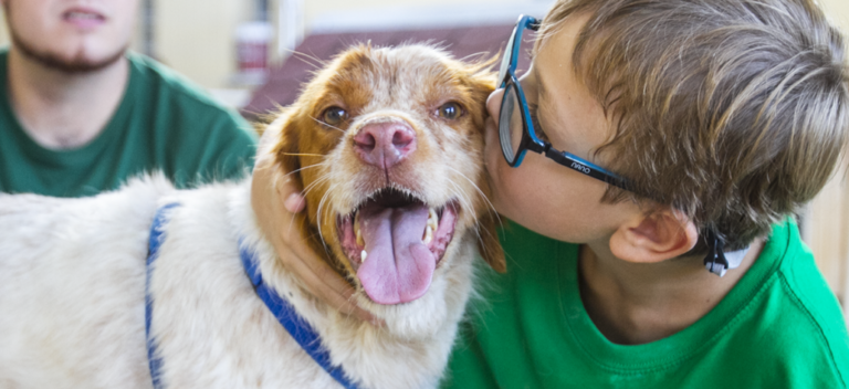 Hunder skal hjelpe barn med lærevansker i Alfaz del Pi
