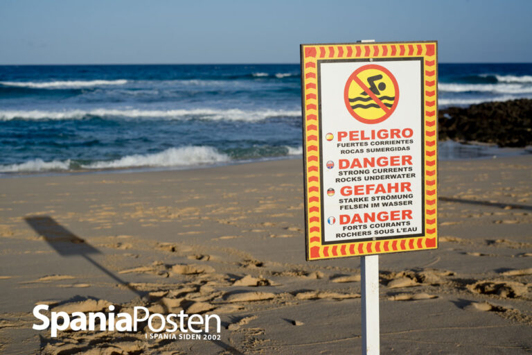 Gran Canaria og Fuerteventura har Kanariøyenes mest dødelige stender