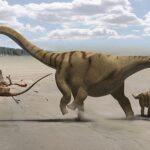 800px-Brontomerus_Utahraptor