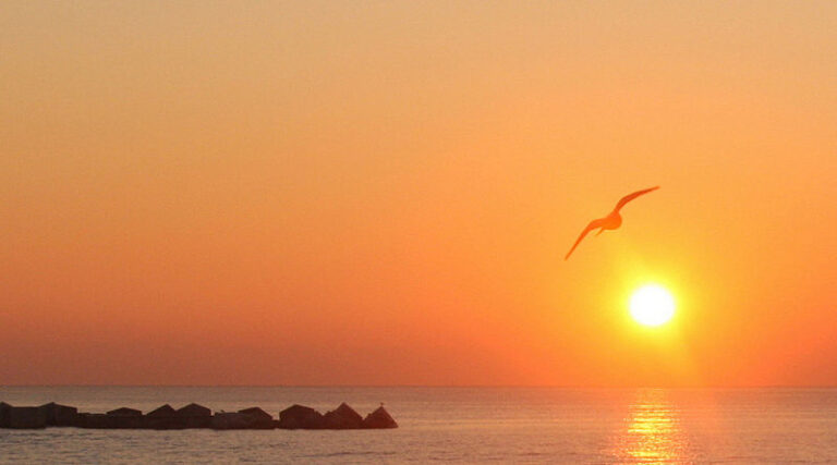 Varmen i Spania VIL bremse Corona-viruset