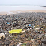 Flotsam_on_beach_at_Spanish_Point_-_geograph.org.uk_-_1088710