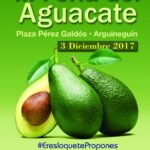 mogan-gran-canaria-avokado