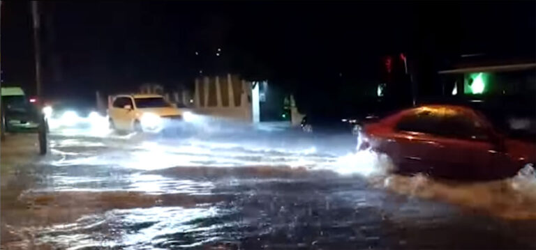 53.640 trær skal forhindre flom syd på Costa Blanca