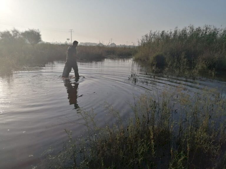 Jobber på spreng for å kontrollere mygg-plagen