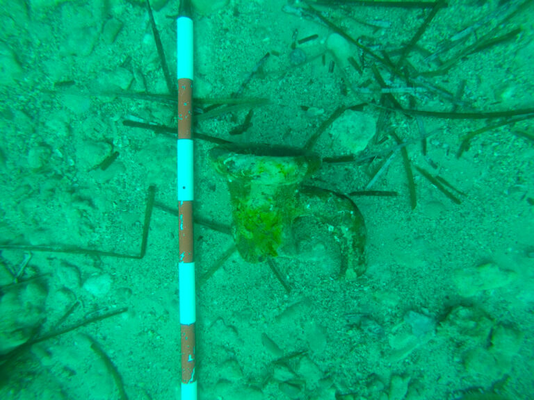 Arkeologisk studie av havn fra oldtiden