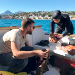 altea-la-olla-havn-altea