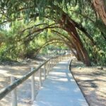 ecalyptus-la-mata-torrevieja