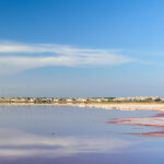 la-mata-lagune-torrevieja