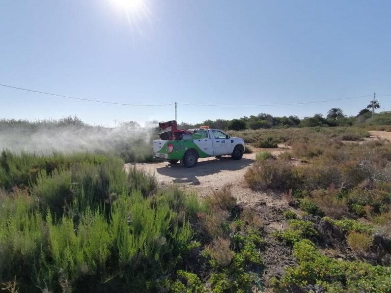 Orihuela intensiverer sprøyting mot mygglarver etter regnet