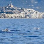 WhatsApp Image 2020-05-06 at 19.14.13