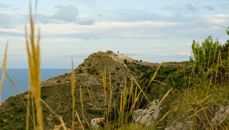 Historisk gigant-bot til Benidorm kommune