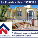 L&N_web_300x250_LaFlorida