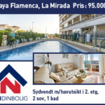 L&N_web_300x250_PlayaFlamenca