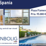 L&N_web_970x500_PlayaFlamenca