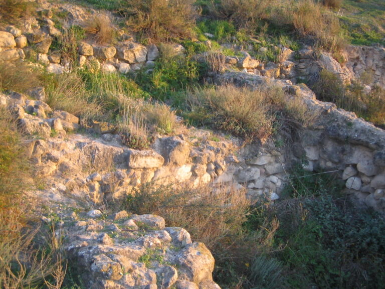 Arkeologisk utgraving fra bronsealderen i Orihuela