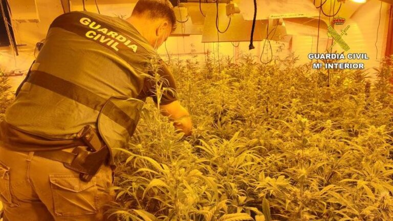 Okkuperte hus for å dyrke marihuana