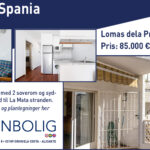 1_L&N_web_970x500_AP-325