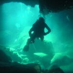 60497_1648227244412_5410957_n