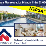 L&N_web_300x250_PlayaFlamenca_NY