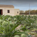 landsbruksmuseum-almoradi