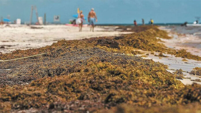 tang-strand