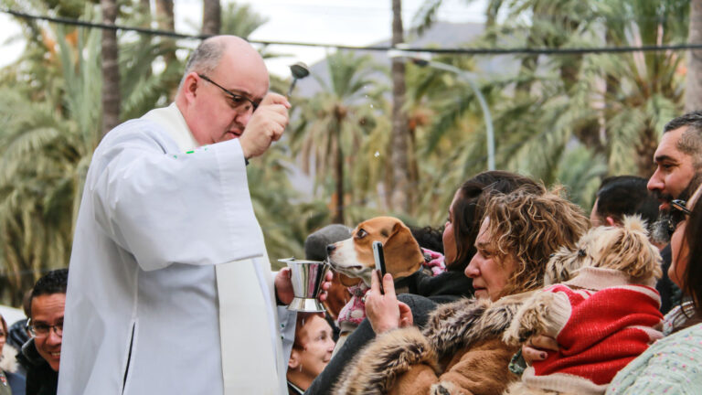 Bli med når presten velsigner kjæledyr og opplev kåringen av Spanias beste skrønemaker