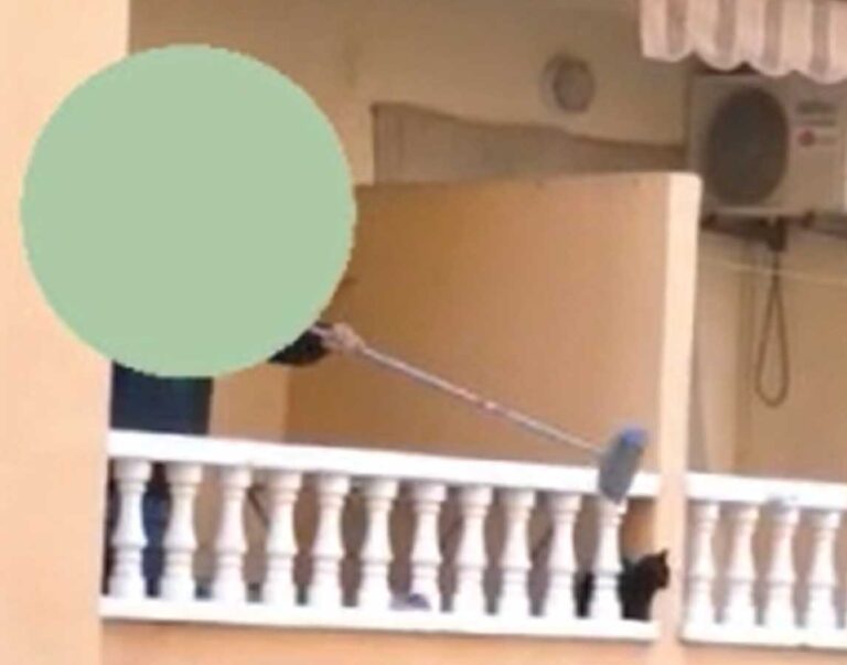 Nordmann bøtelagt 11.120€ for dyreplageri