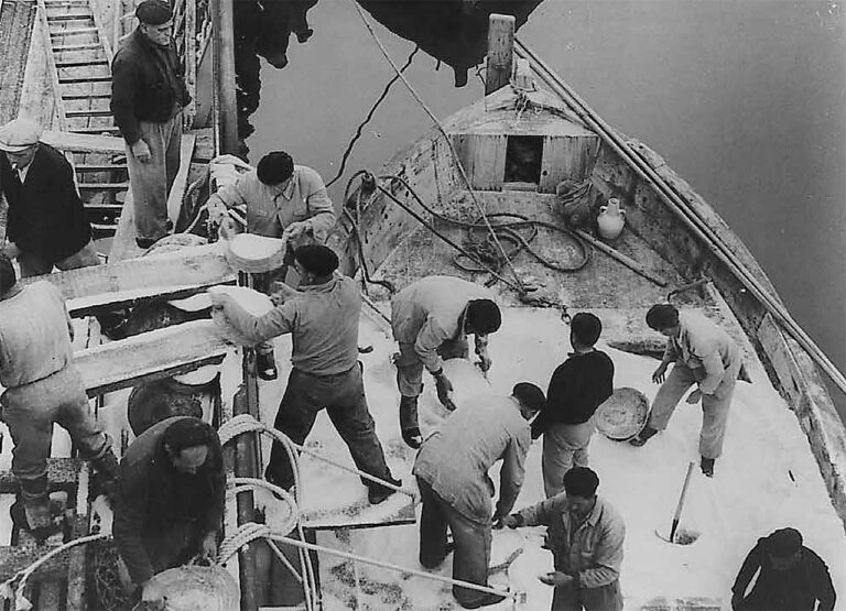 Torreviejas industrielle historie skal frem