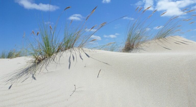 Økt beskyttelse for strandsonen i Orihuela Costa