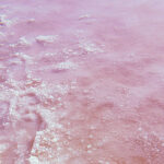 salt-la-mata-torrevieja