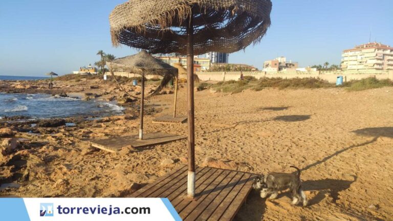 Miljødepartementet ber kommunen fjerne installasjonene på hundestranden