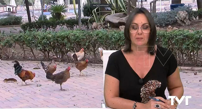 Fjerner høner og haner i Torrevieja