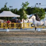 2-FEGADO-Feria-Ganado-Dolores-Concurso-Nacional-Caballos-ganaderia