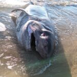 327708577_1424320625054062_3901369974777280322_n