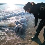 327727138_697002975241759_8116556910724863268_n