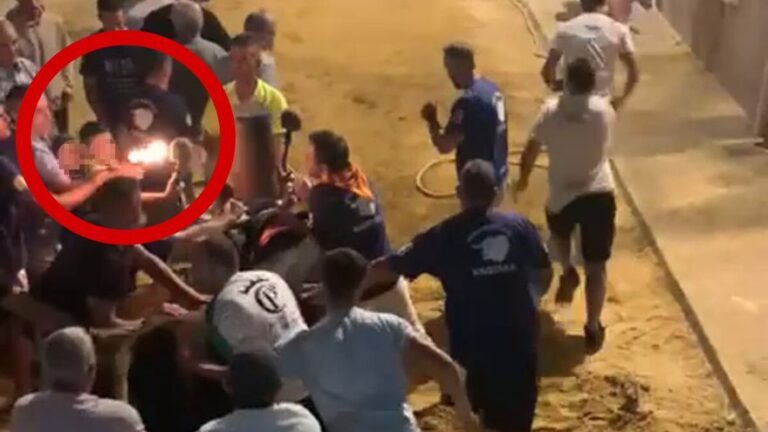 Barn tente på okse, bøter til foreldrene