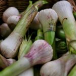 spring-onions-4830073_1920