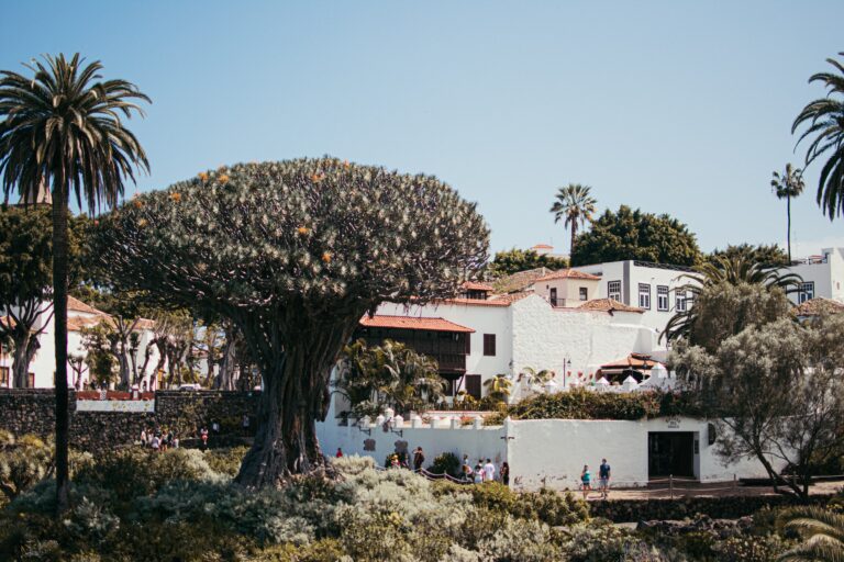 Rekordhøye boligpriser i Spania