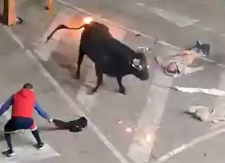 &laquo;Tyrefekter&raquo; endte opp bevisstløs og uten bukse