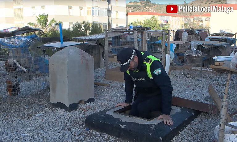 Politiet reddet 94 haner og 97 duer