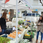 puesto-agricultura-web